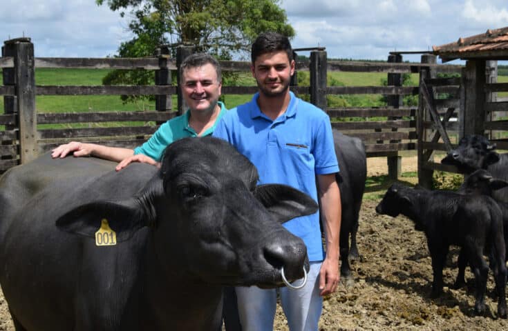 Criadores de búfalos investem na produção de carne e leite em Linhares