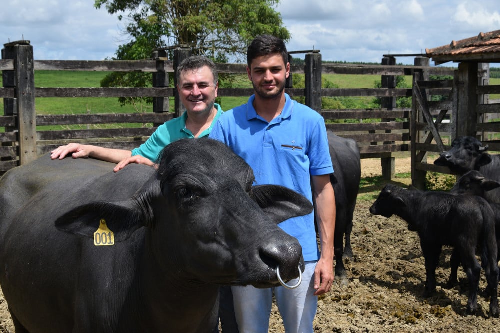 Criadores de búfalos investem na produção de carne e leite em Linhares