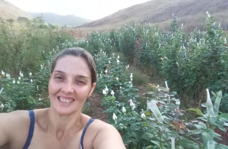 Flores rendem seis vezes mais do que café para agricultora de Itarana