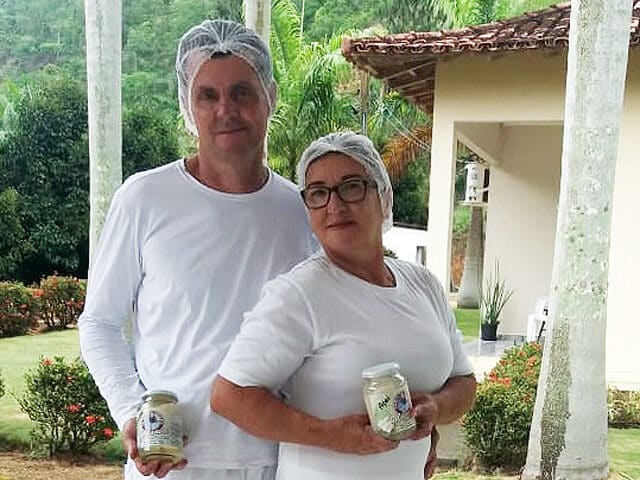 Cafeicultor de Marilândia investe na produção de palmito e diversifica renda