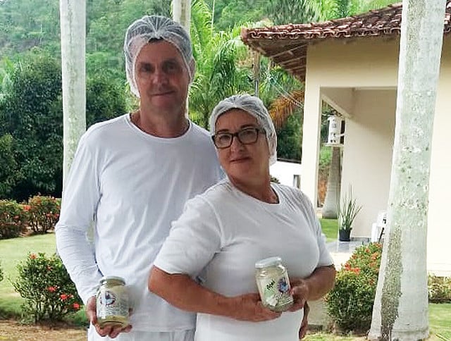 Cafeicultor de Marilândia investe na produção de palmito e diversifica renda