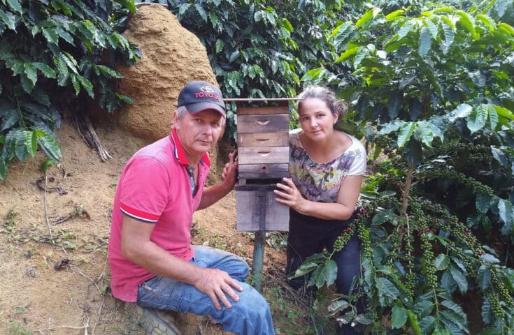Vida nova com cafés especiais e criação de abelhas sem ferrão