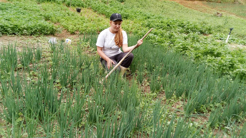 Covid-19: agricultores da ‘Horta do ES’ vivem drama com suspensão das feiras