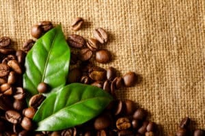 cafés receita cambial exportações