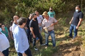 Gengibre Santa Leopoldina