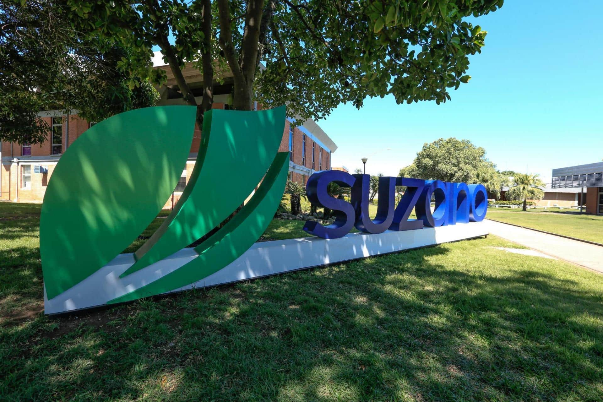 Suzano é indicada entre as empresas líderes em sustentabilidade