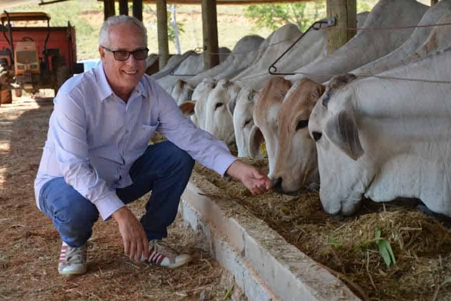 Pecuarista do ES inova e usa sistema de bem-estar animal no gado de corte