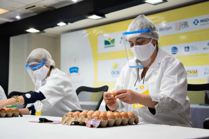Dia Mundial do Ovo será comemorado com concurso de qualidade de ovos no Espírito Santo