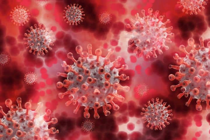 Estudo sugere que homens são principais transmissores do coronavírus