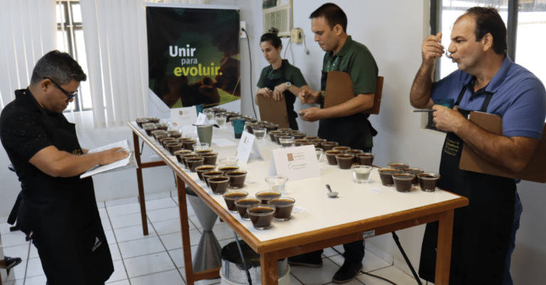 Ifes: veja técnicas que aumentam colheita e garantem qualidade do café