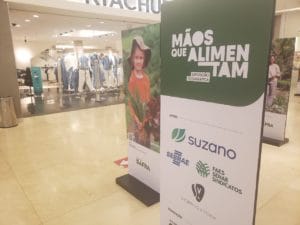 Mãos que Alimentam