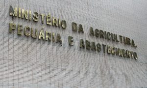Ministério da Agricultura abre concurso com salário de até R$ 15,8 mil