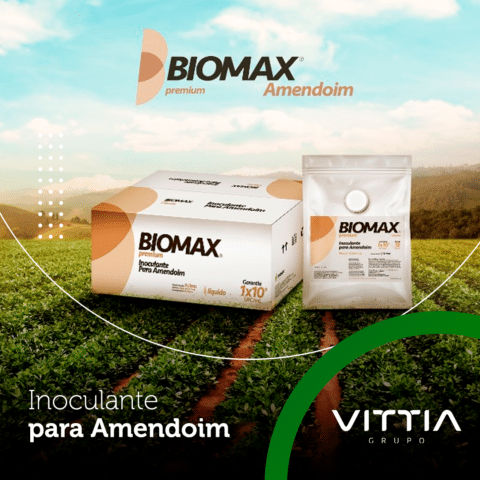 Biomax Amendoim: maior enraizamento e mais nitrogênio para lavoura de amendoim produzir mais
