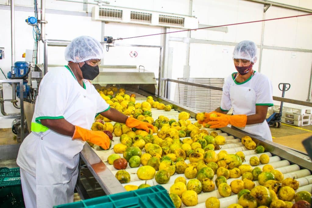 Agro Trop, em Linhares, entrega primeiro lote de produção