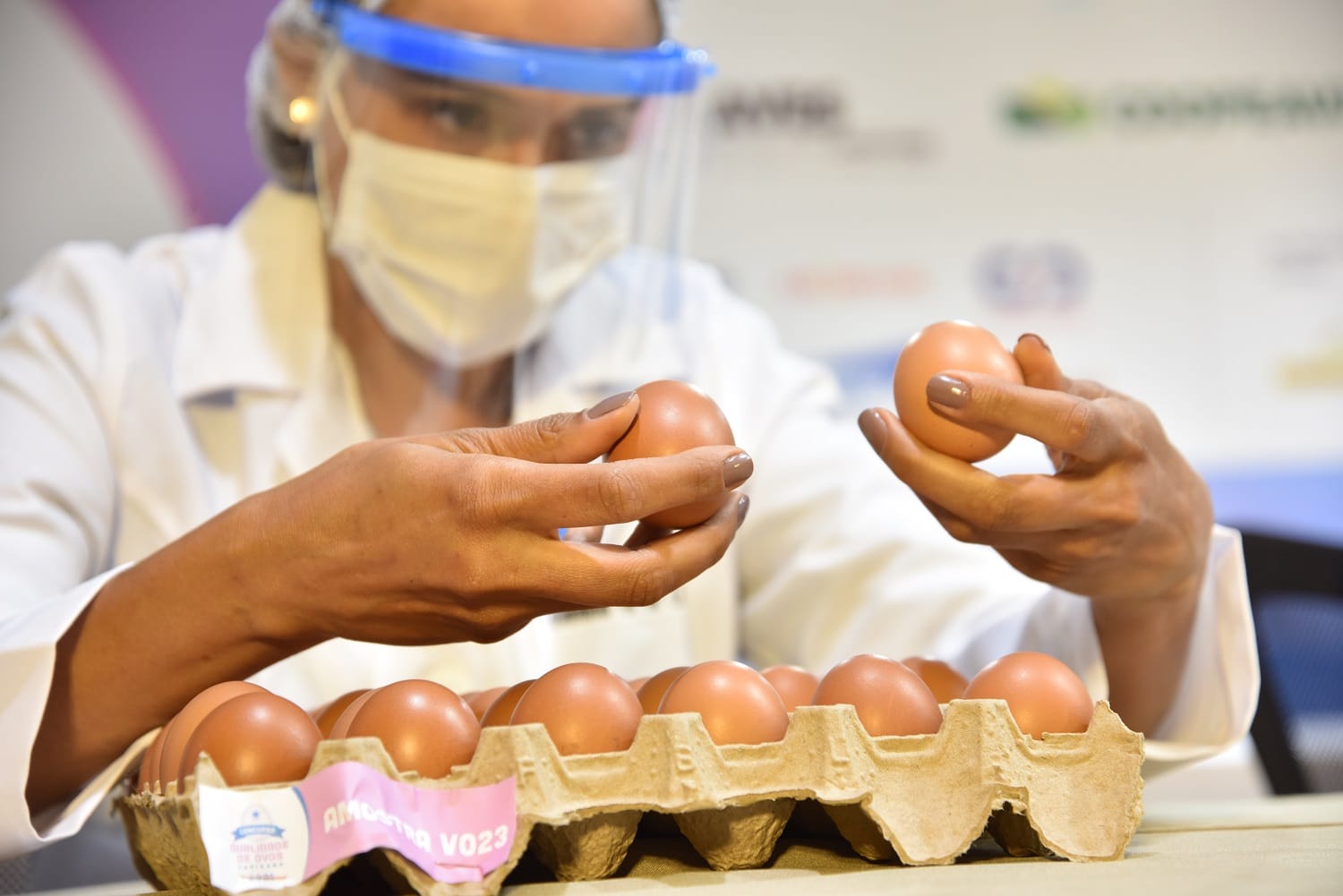 5º Concurso de Qualidade de Ovos Capixaba anuncia vencedores