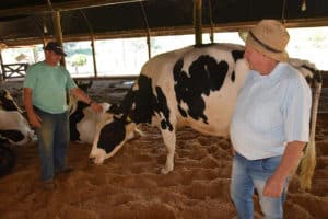 Oportunidades para propriedades rurais de leite