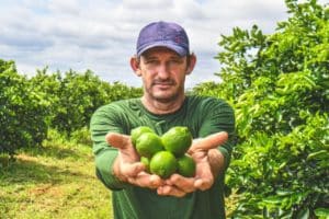 Polo de limão de Linhares inicia colheita da 1ª safra e conquista mercado regional