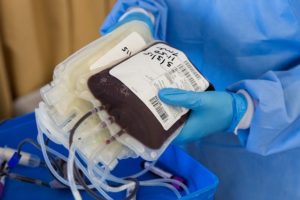 Dia do Doador de Sangue: “tenho orgulho de ser doadora de vida”