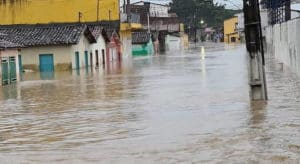 Sistema Faeb/Senar faz campanha pelas vítimas das chuvas na Bahia