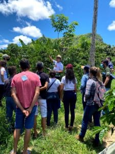 No último sábado (11), aconteceu o 1° Dia de Campo na comunidade Feliz Esperança, em Alegre. Com o tema "Manejo de Doenças do Cafeeiro Conilon
