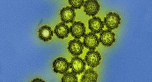 H3N2 Darwin: pesquisador fala sobre o vírus influenza em circulação no país