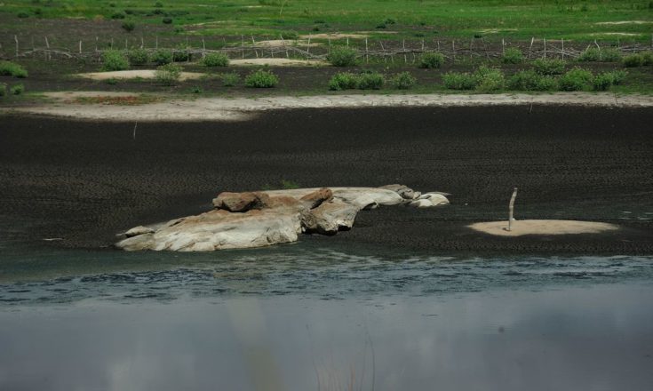 Chuvas no Nordeste, seca no Sul: os danos causados pelo clima no Brasil