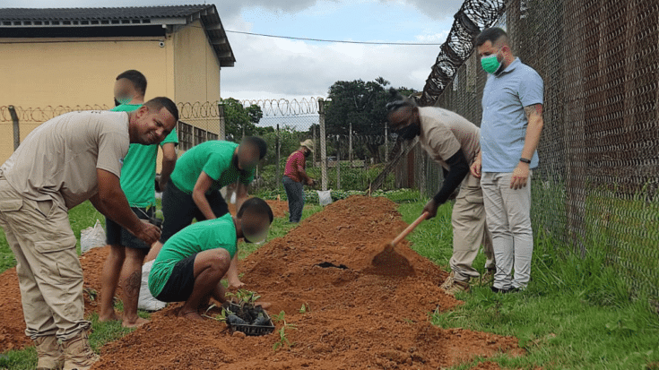 Programa Cultiva Viana inicia plantio de Ora Pro Nobis em unidade socioeducativa