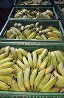 O fim do ditado “a preço de banana”!