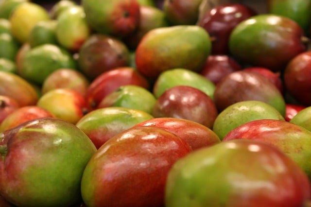 Produtores e governo discutem formas de ampliar a exportação de frutas