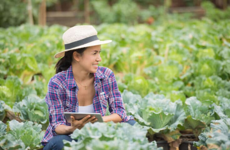 Aplicativos promovem o aumento das mulheres no agronegócio
