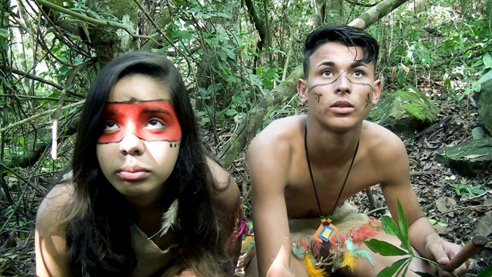 Cinema como instrumento pedagógico para a educação ambiental em Guaçuí