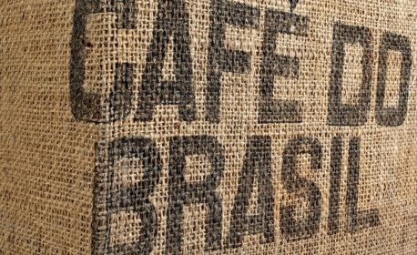 Produtividade média dos Cafés do Brasil foi estimada em 30,6 sacas por hectare