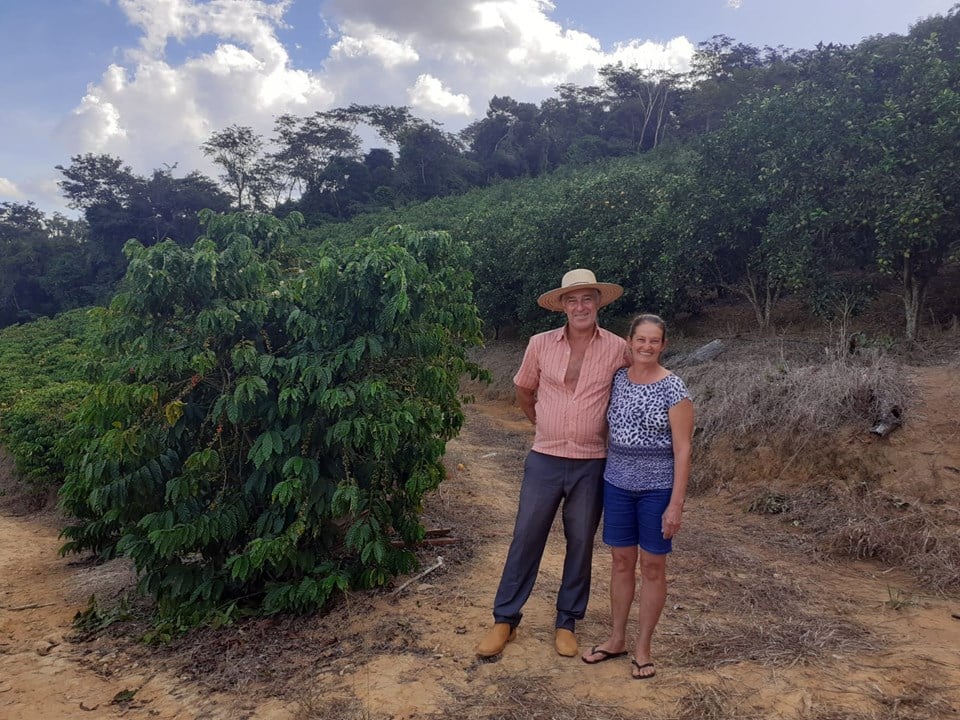 Família produz café e citros e diversifica renda no Sul do Estado