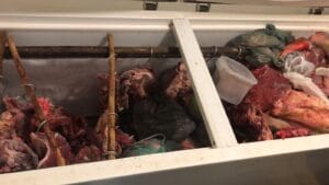 POLICIAIS DE MONTANHA PRENDEM SUSPEITO DE ENVOLVIMENTO EM FURTOS DE GADO NA REGIÃO3