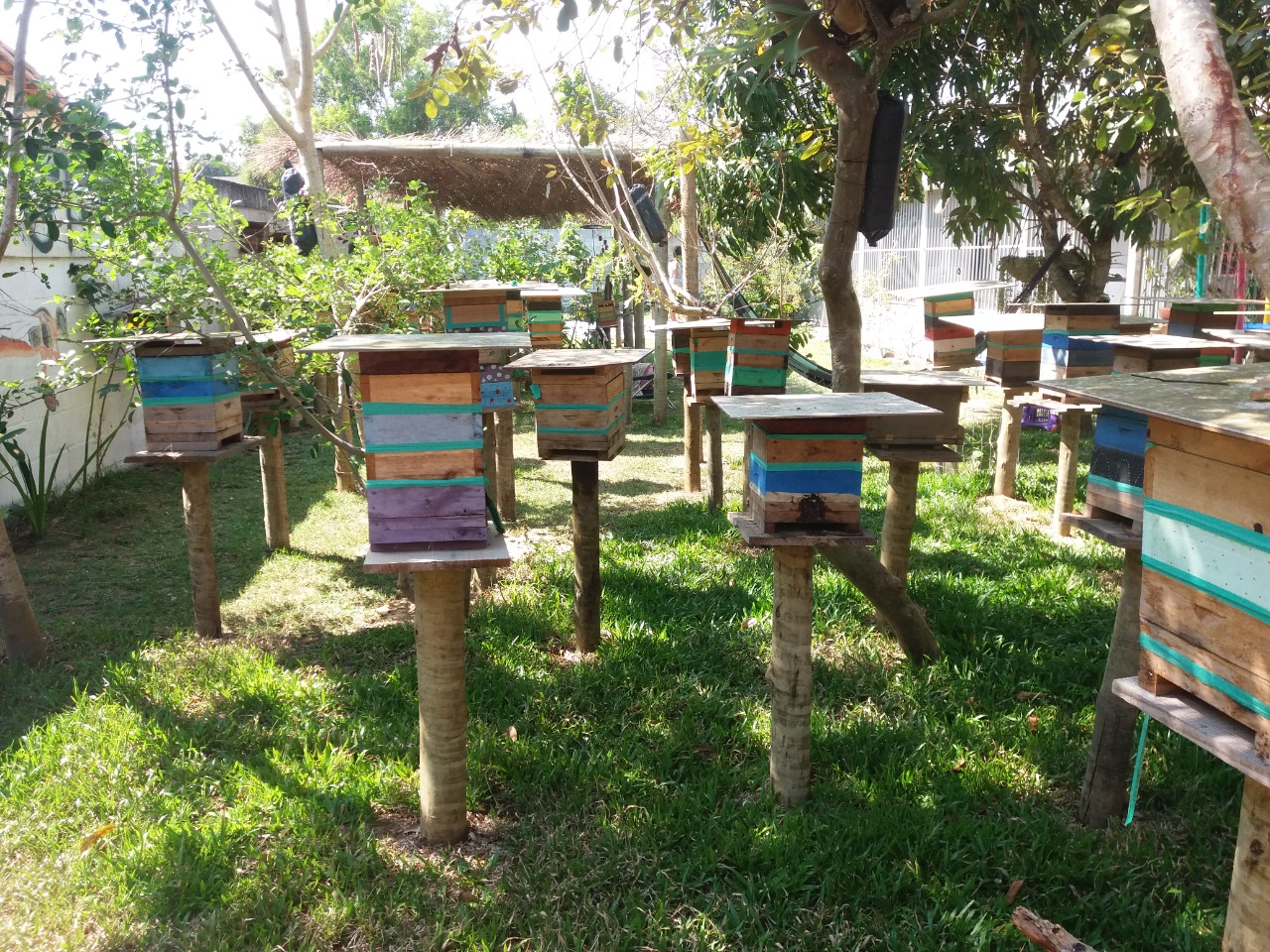 Elas Podem nas Criações das Abelhas: projeto inclui mulheres na cadeia produtiva do mel