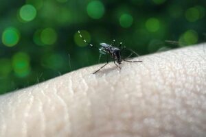 Lacen/ES confirma circulação de sorotipo 2 da dengue no Espírito Santo