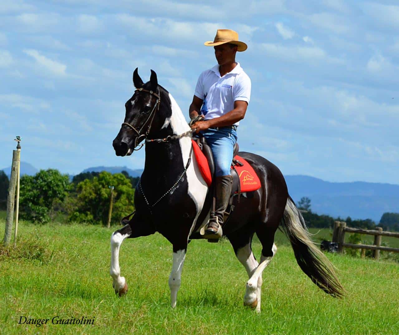 Inscrições para a 4ª Copa de Marcha Especializada do Cavalo Mangalarga Marchador de Linhares terminam nesta quinta, 23