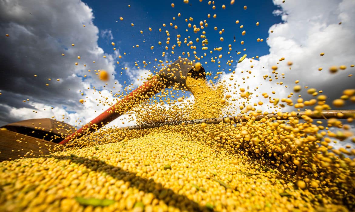 Ocorrência de pragas comuns na sucessão milho/soja
