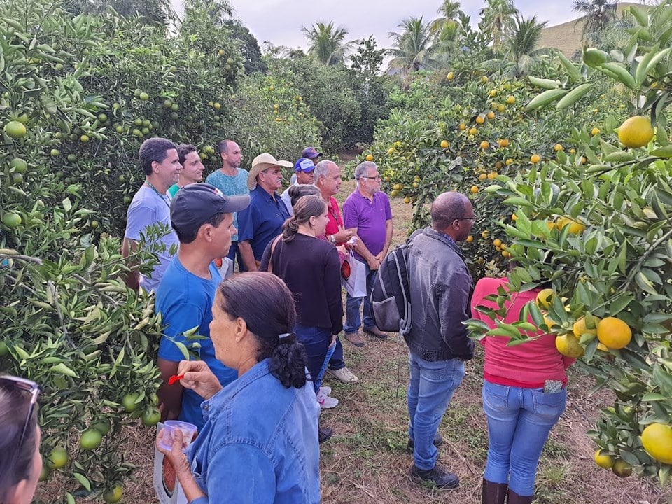 Excursão técnica sobre produção de laranja é realizada em Jerônimo Monteiro