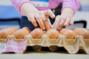 6º Concurso de Qualidade de Ovos Capixaba vai comemorar o Dia Mundial do Ovo em outubro