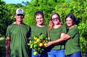 pérolas Rio de Janeiro