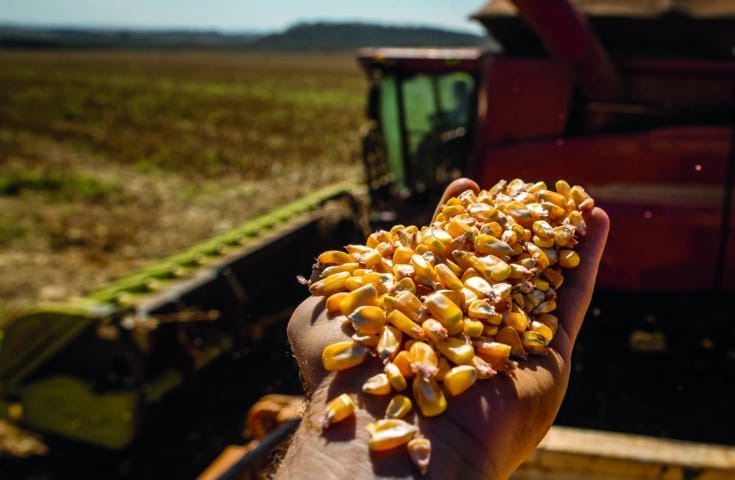 CNA define propostas emergenciais de apoio ao produtor de soja e milho