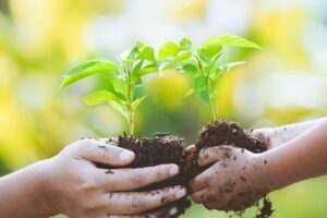 ESG no agronegócio: o que é e como implementar?