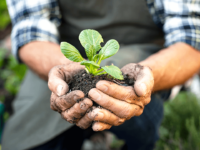 Inscrições abertas para eventos de educação ambiental no ES