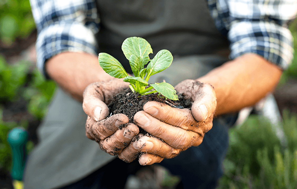 Linhares ganha Programa de Incentivo à Produção Agroecológica e Orgânica. Veja como participar
