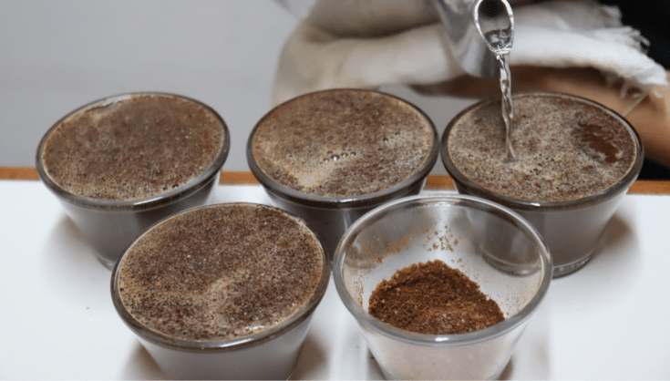 Inscrições para curso de produção de cafés especiais no Ifes VNI