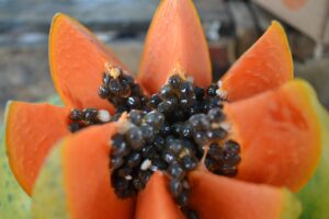 Simpósio do Papaya vai discutir produção e sustentabilidade da fruta no Brasil 
