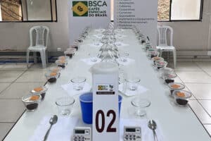 Cup of Excellence 2022 define amostras classificadas para fase nacional
