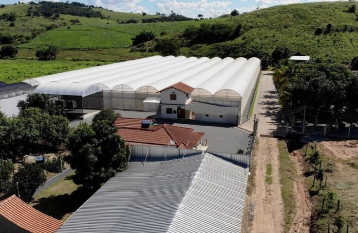 Maior viveiro de mudas do Rio de Janeiro cultiva mais de 70 milhões de sementes por ano