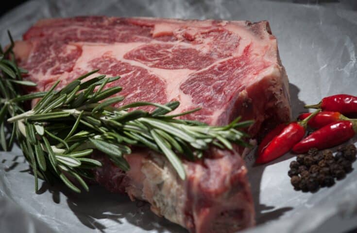 Itália quer proibir carne sintética feita em laboratório